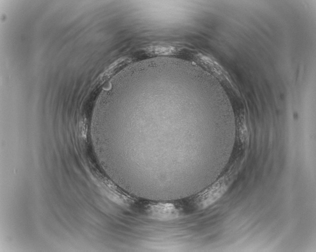 X0000060750374200511101122