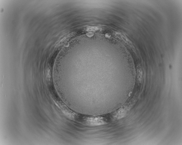 X0000060750375200511101122