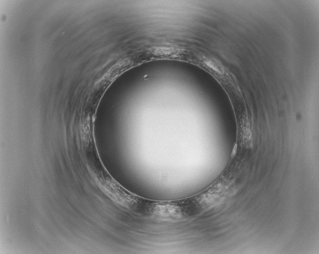 X0000060750376200511101122