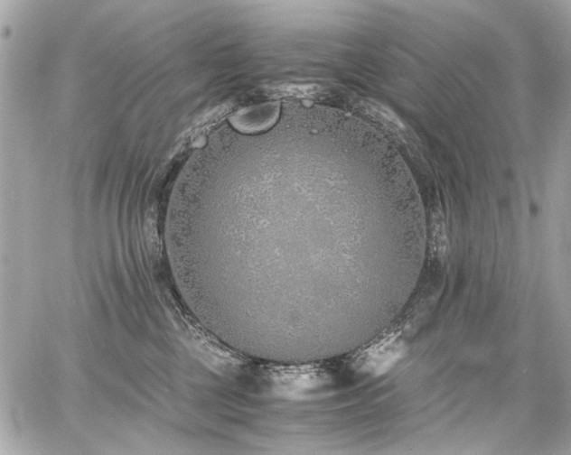 X0000060750377200511101122