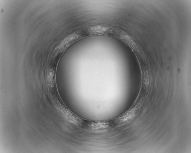 X0000060750378200511101122