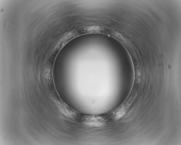 X0000060750379200511101122