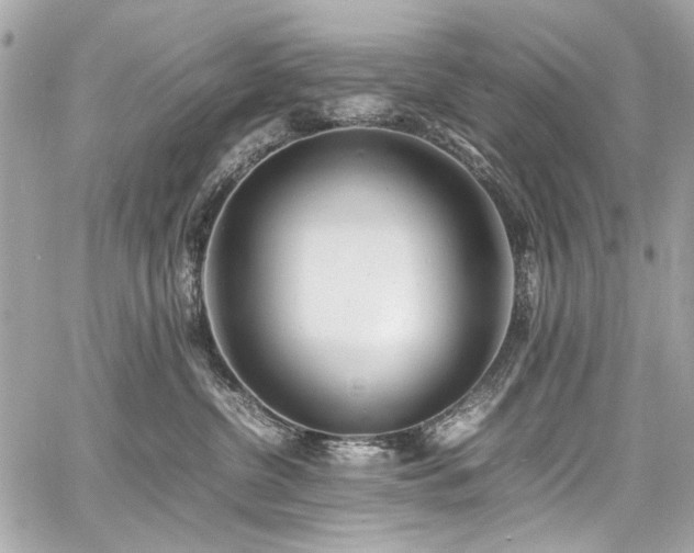 X0000060750380200511101122