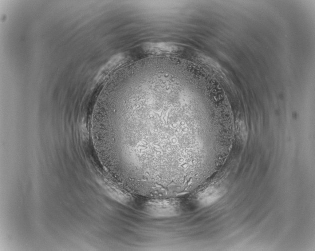 X0000060750381200511101122