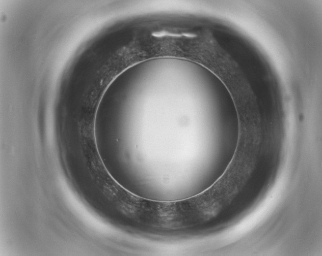 X0000060750382200511101122