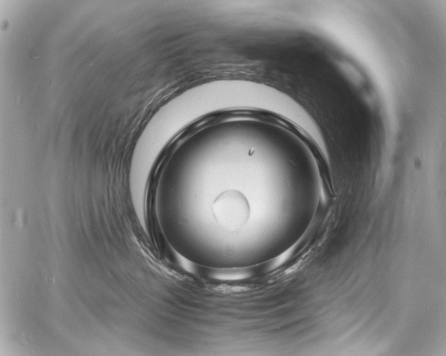 X0000060750383200511101122