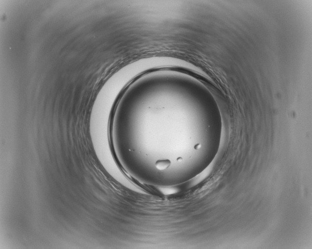 X0000060750384200511101122