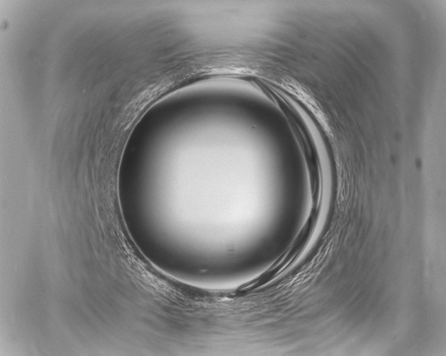 X0000060750385200511101121