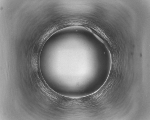 X0000060750386200511101121