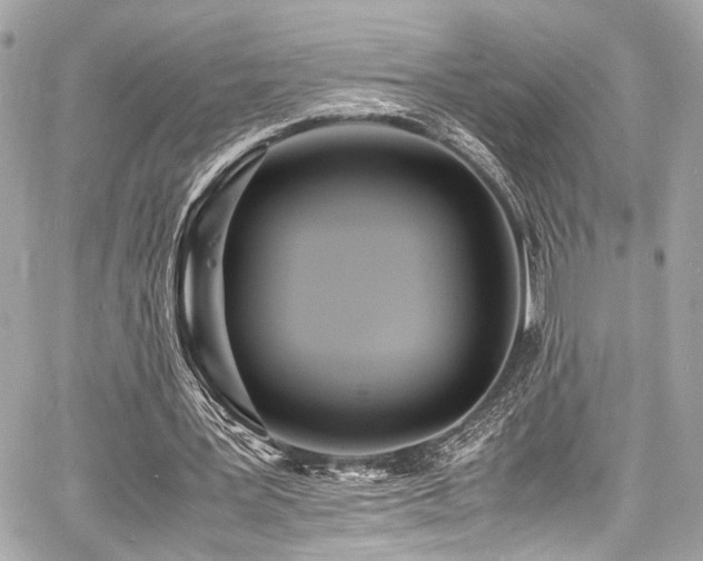 X0000060750387200511101121