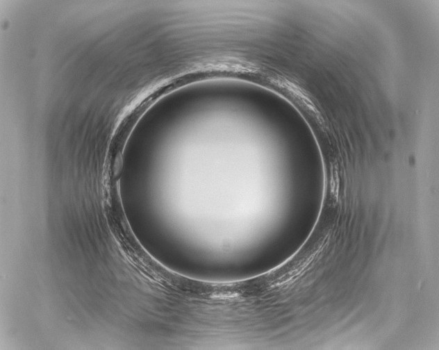 X0000060750388200511101121