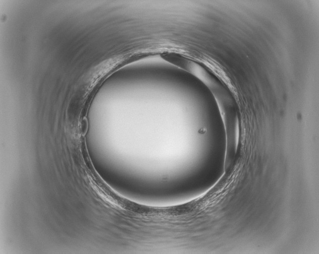 X0000060750389200511101121