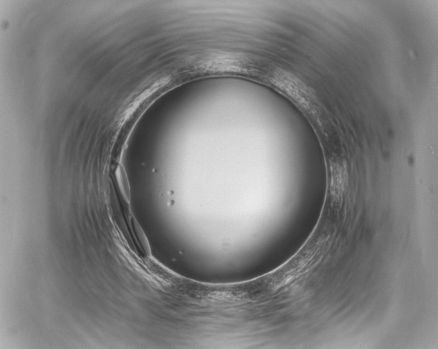 X0000060750390200511101121