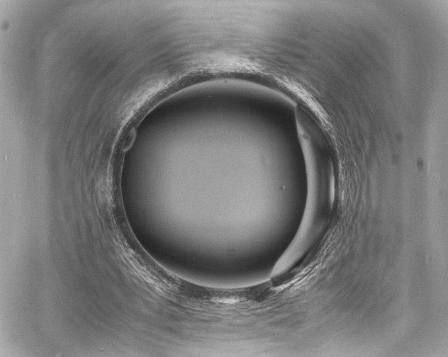 X0000060750391200511101121