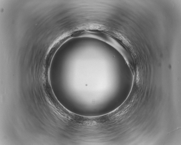 X0000060750392200511101121