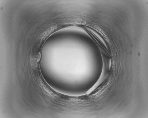 X0000060750393200511101121