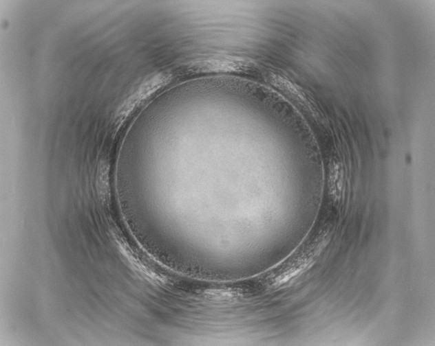 X0000060750394200511101121