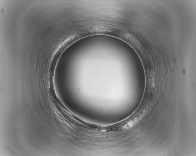 X0000060750395200511101121