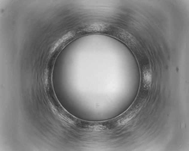 X0000060750396200511101121