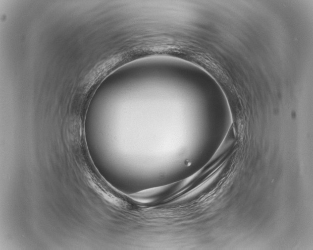 X0000060750397200511101121