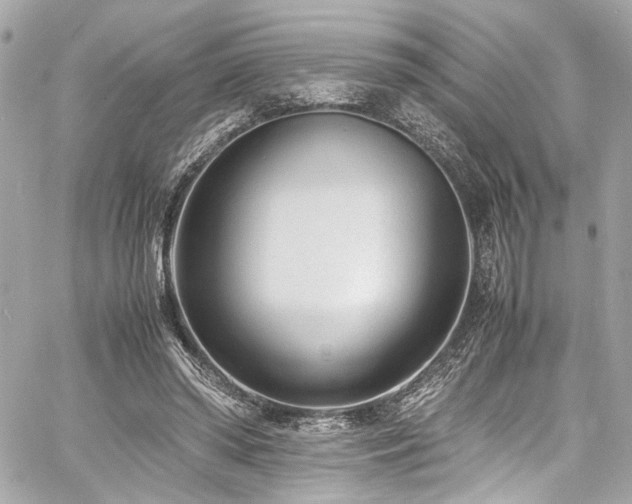 X0000060750398200511101121