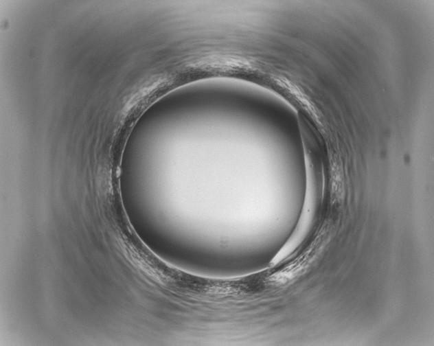 X0000060750399200511101121