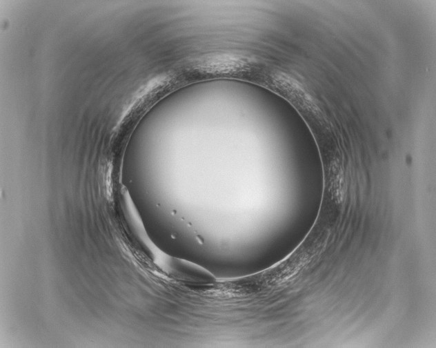 X0000060750400200511101121