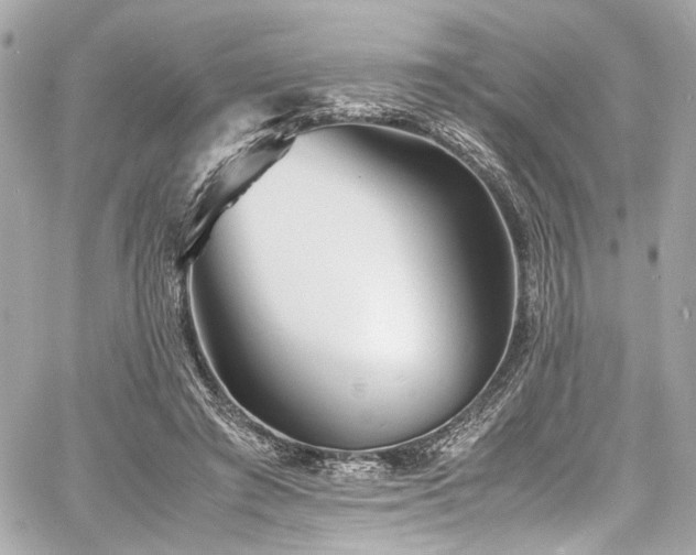 X0000060750401200511101121