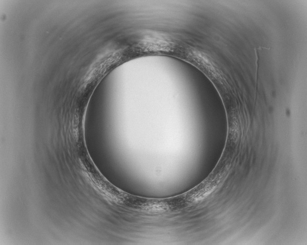 X0000060750402200511101121