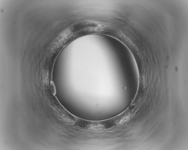 X0000060750403200511101121