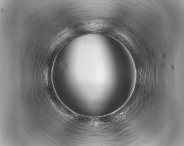 X0000060750404200511101121