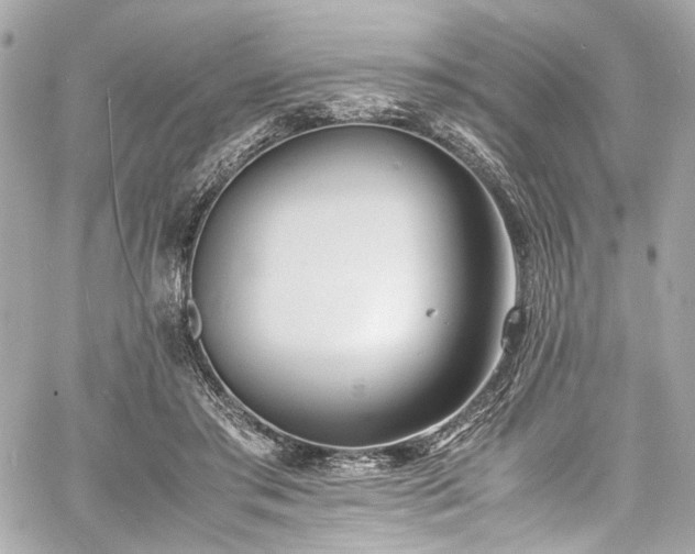 X0000060750405200511101121