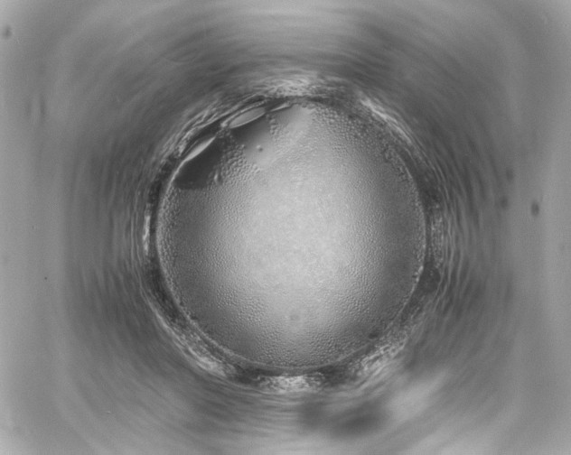 X0000060750406200511101121