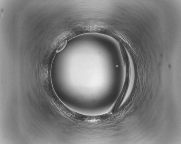 X0000060750407200511101121