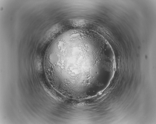 X0000060750408200511101121