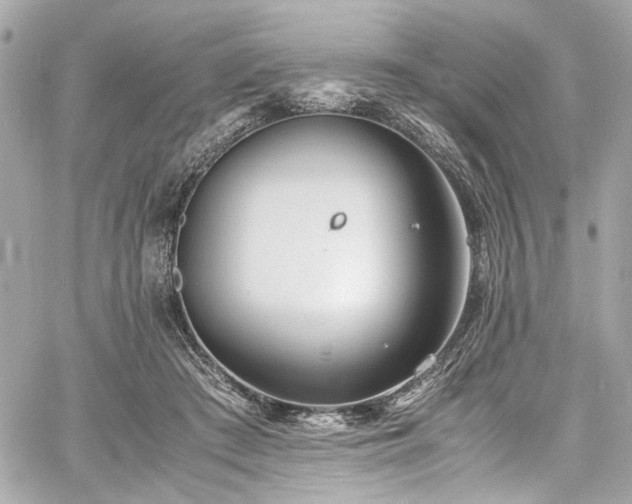 X0000060750409200511101121