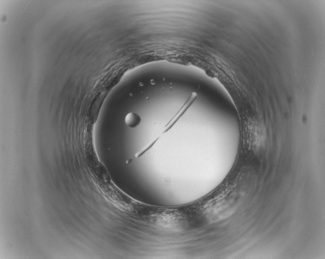 X0000060750412200511101121