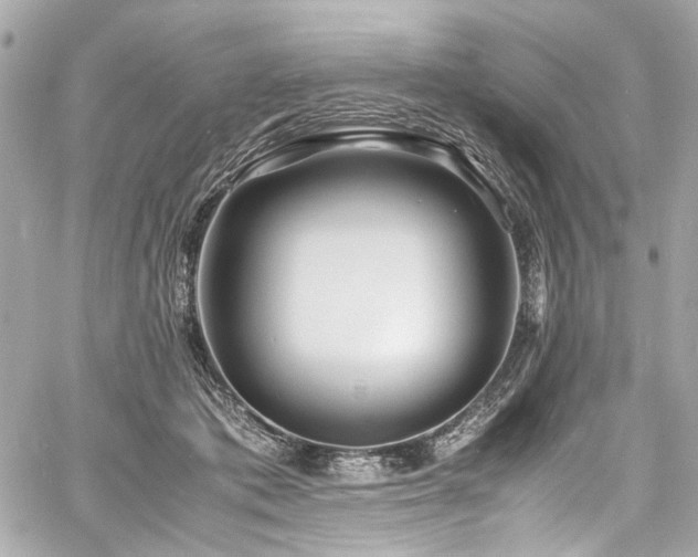 X0000060750413200511101121