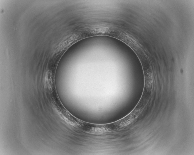 X0000060750414200511101121