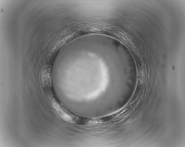 X0000060750415200511101121