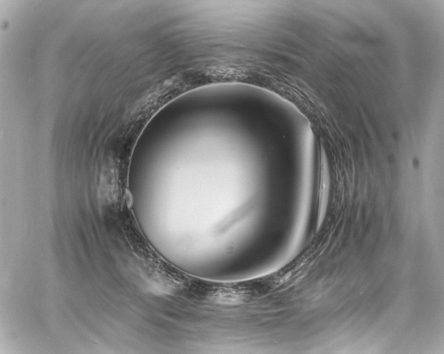 X0000060750416200511101121