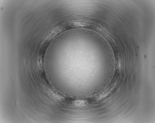 X0000060750418200511101121