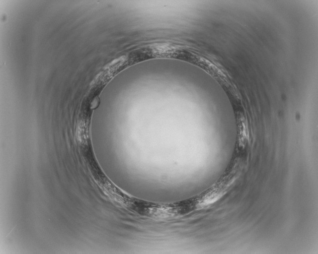 X0000060750419200511101121