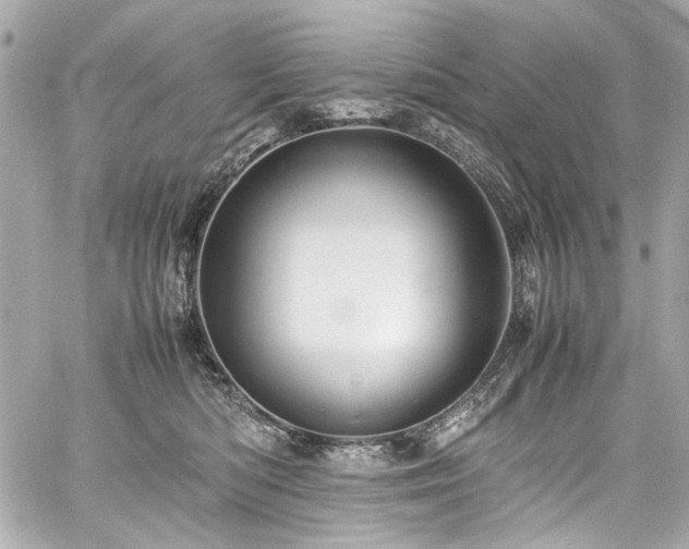 X0000060750422200511101120