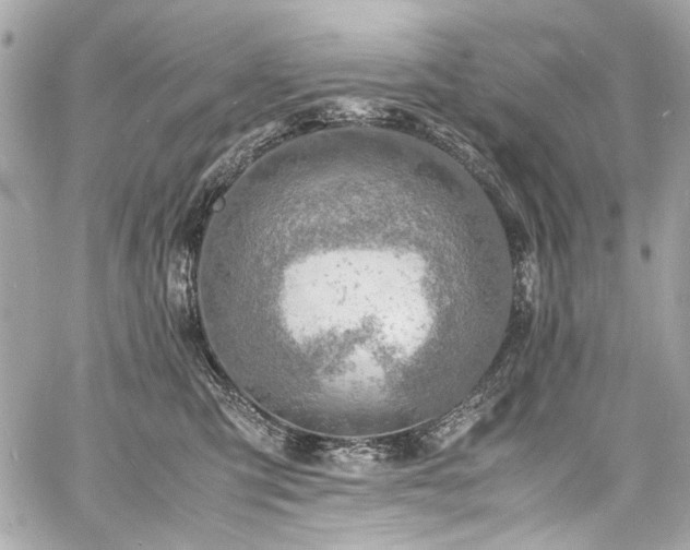 X0000060750423200511101120