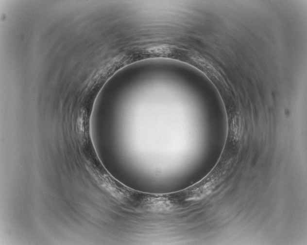 X0000060750424200511101120