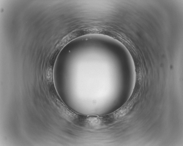 X0000060750425200511101120