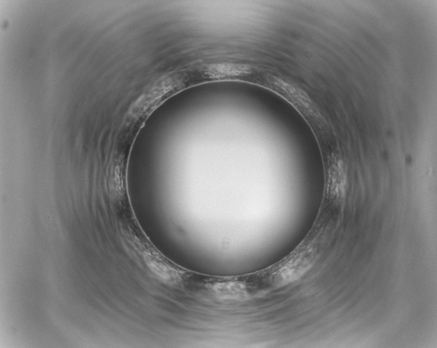 X0000060750426200511101120