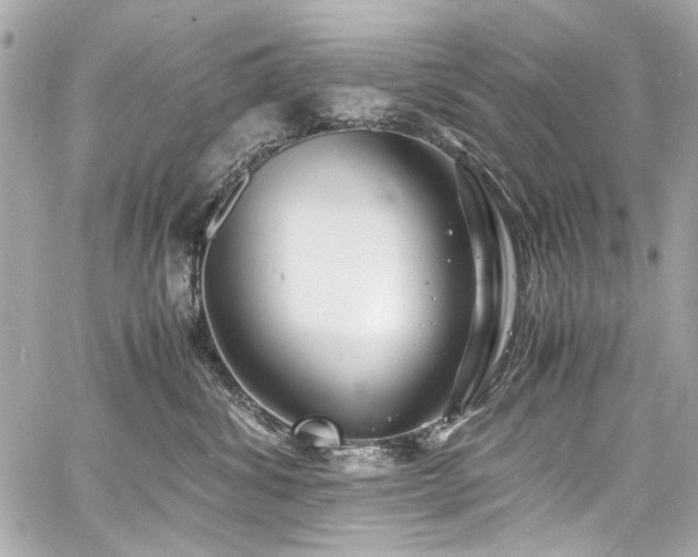 X0000060750428200511101120