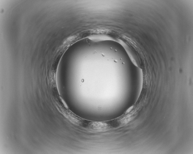 X0000060750429200511101120